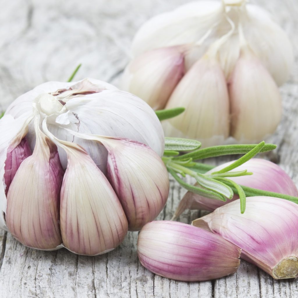 hunter fresh produce freshly picked garlic