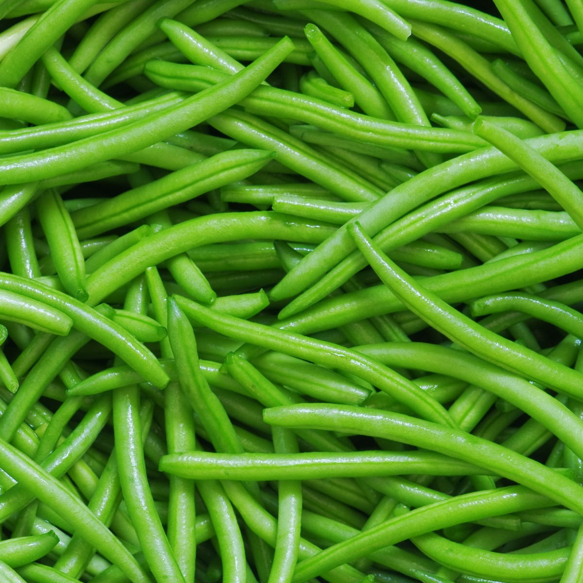 hunter fresh produce freshly picked green beans