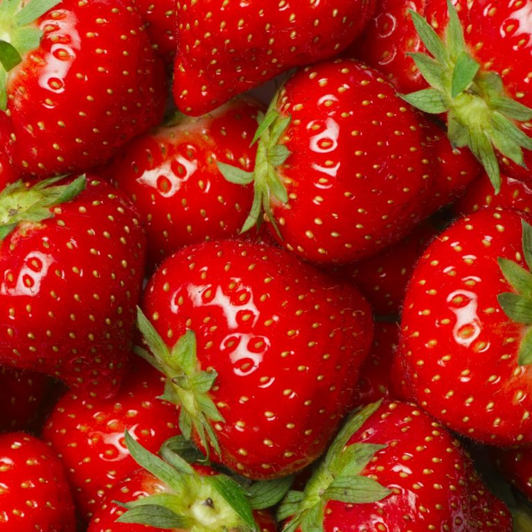 hunter fresh produce freshly picked strawberries